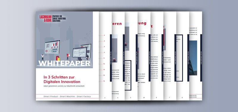 L&R Whitepaper In 3 Schritten zur Digitalen Innovation